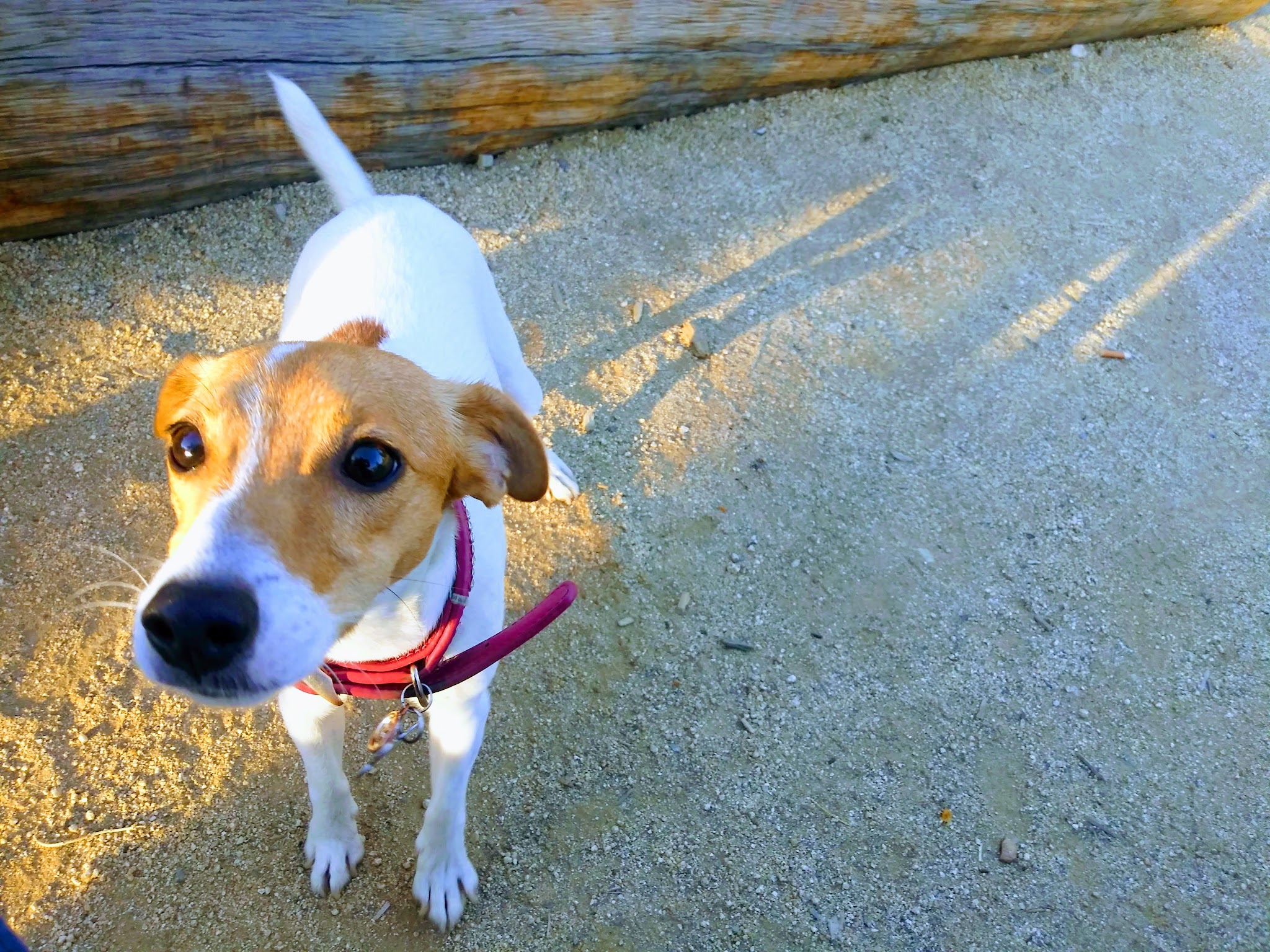 Franklin-Ivar Park - Los Angeles, CA