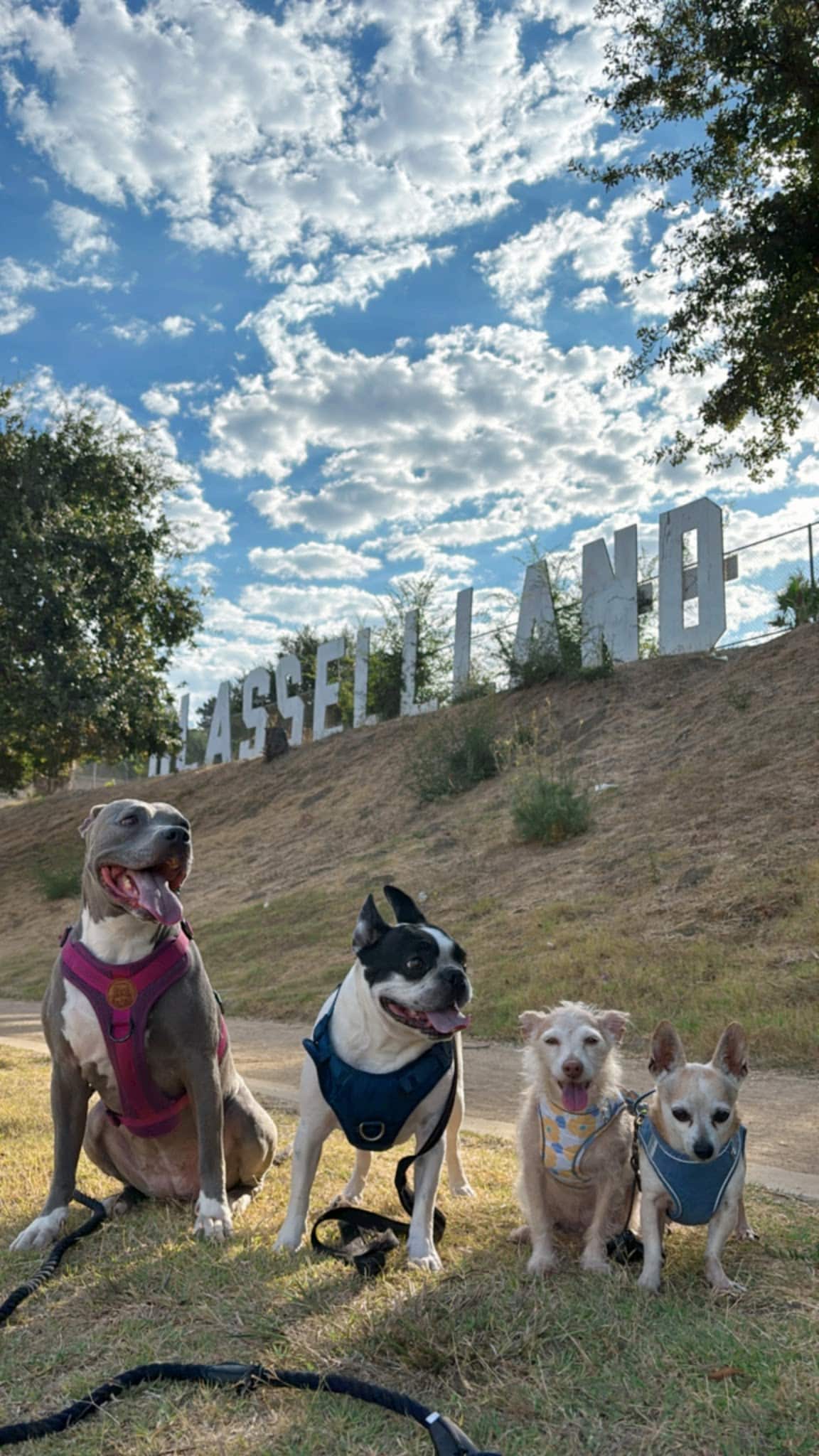 GLASSELL LAND - Los Angeles, CA