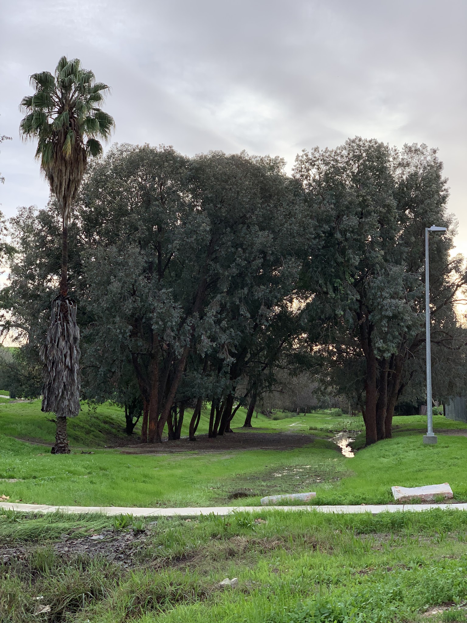 Hazard Recreation Center - Los Angeles, CA