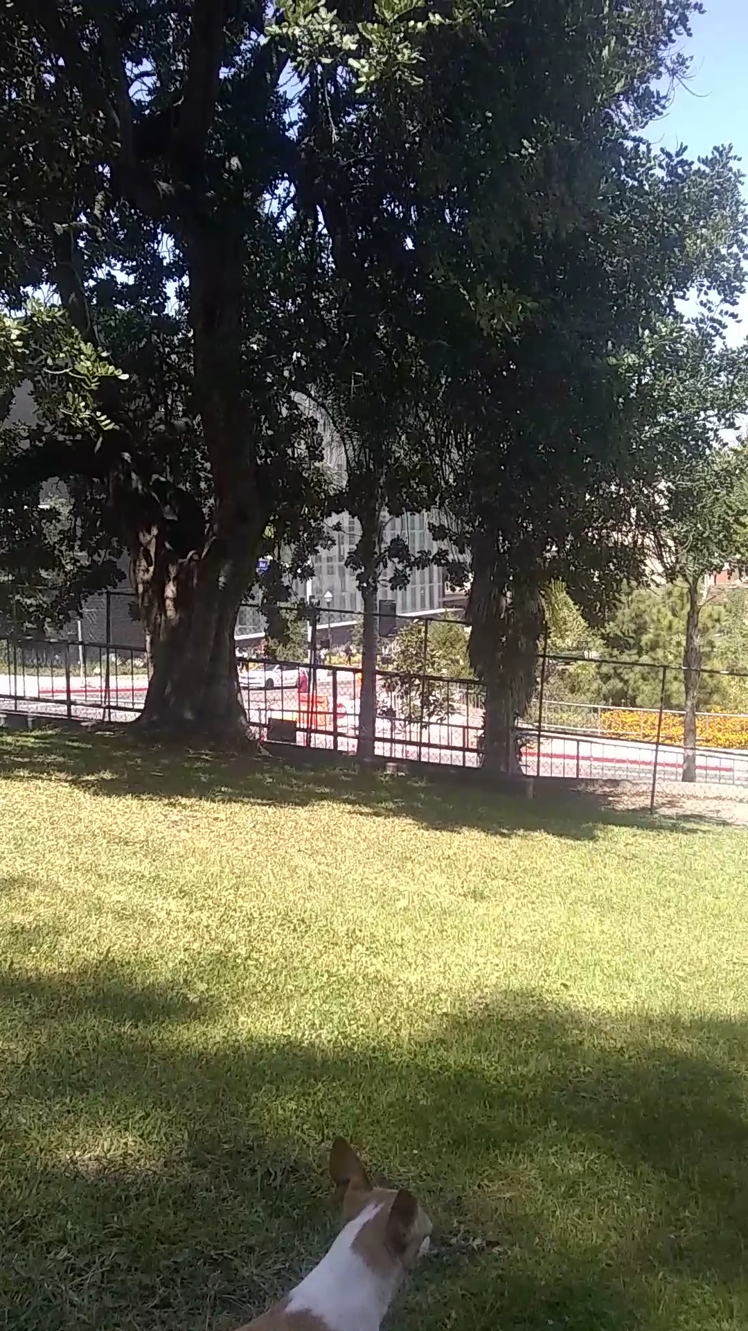 Hazard Recreation Center - Los Angeles, CA