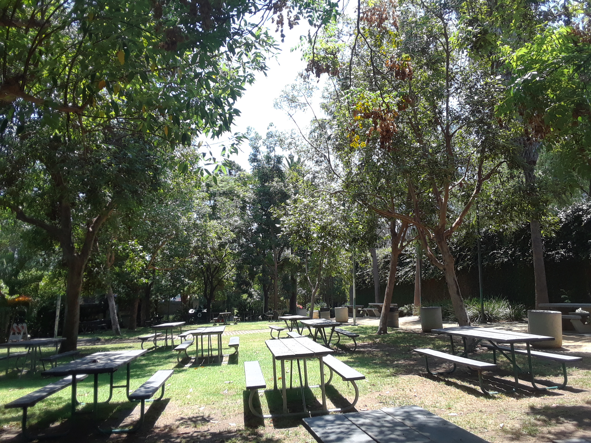 Highland Camrose Park - Los Angeles, CA