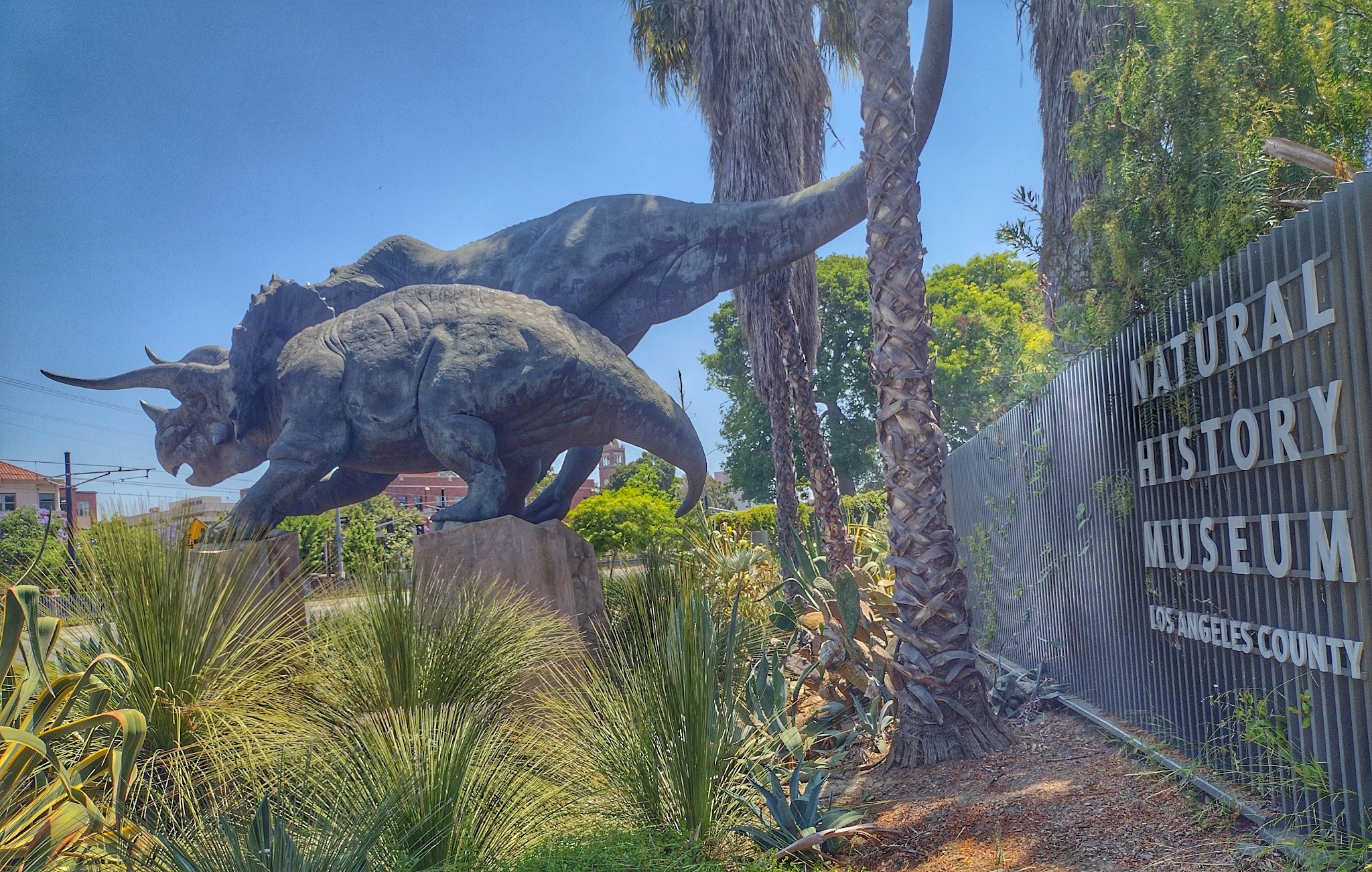 Jesse Brewer Jr. Park - Los Angeles, CA