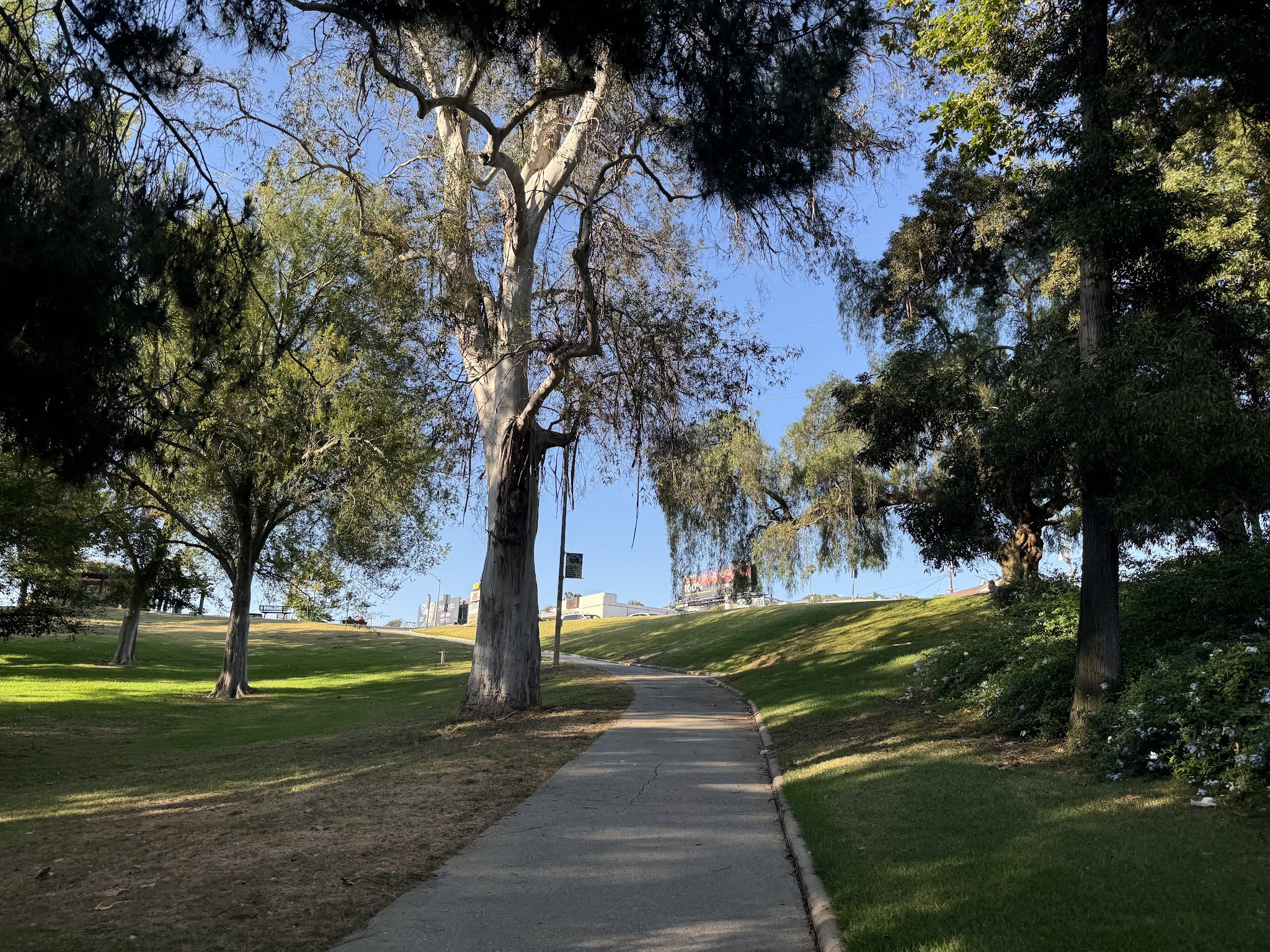 Ladera Park - Los Angeles, CA