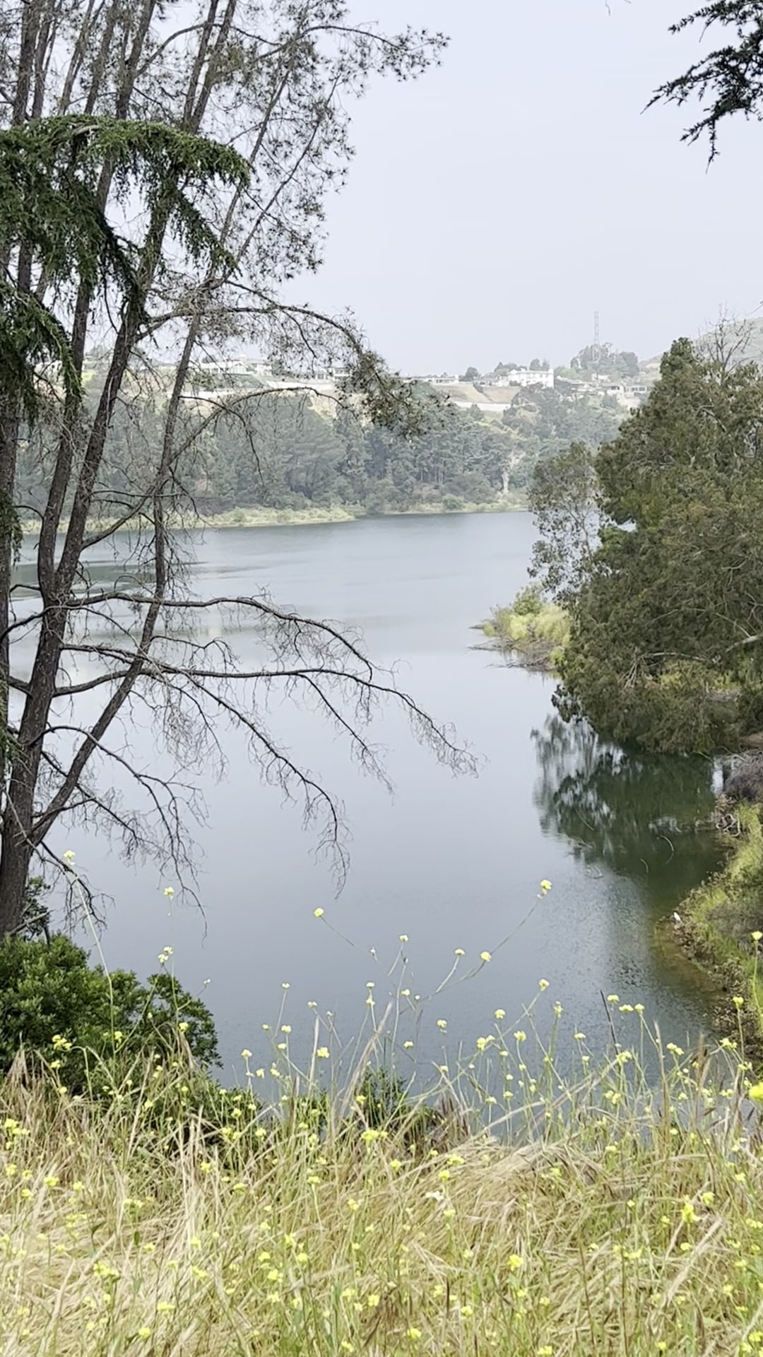 Lake Hollywood Reservoir Walking Trail - Los Angeles, CA