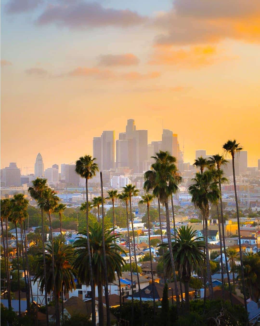 Los Angeles - Los Angeles, CA