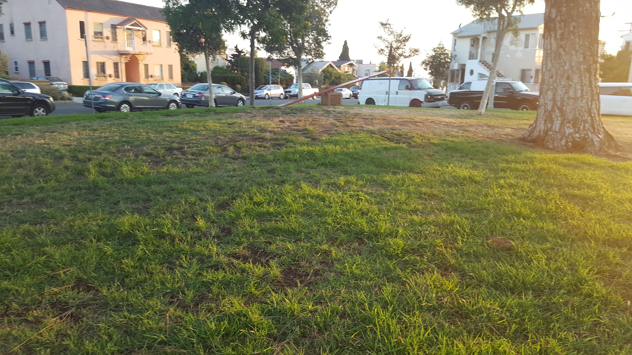 Mascot Park - Los Angeles, CA