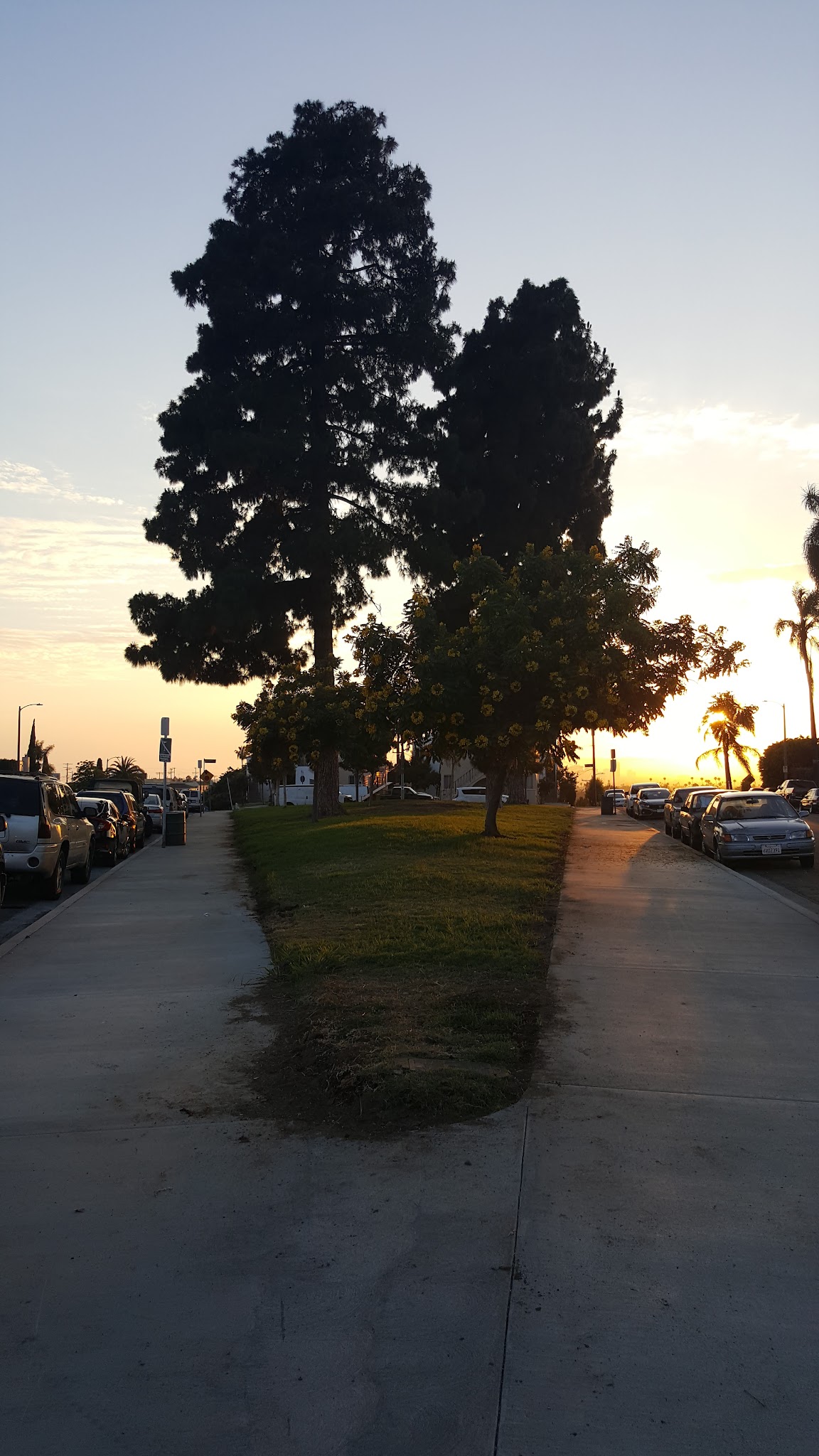 Mascot Park - Los Angeles, CA