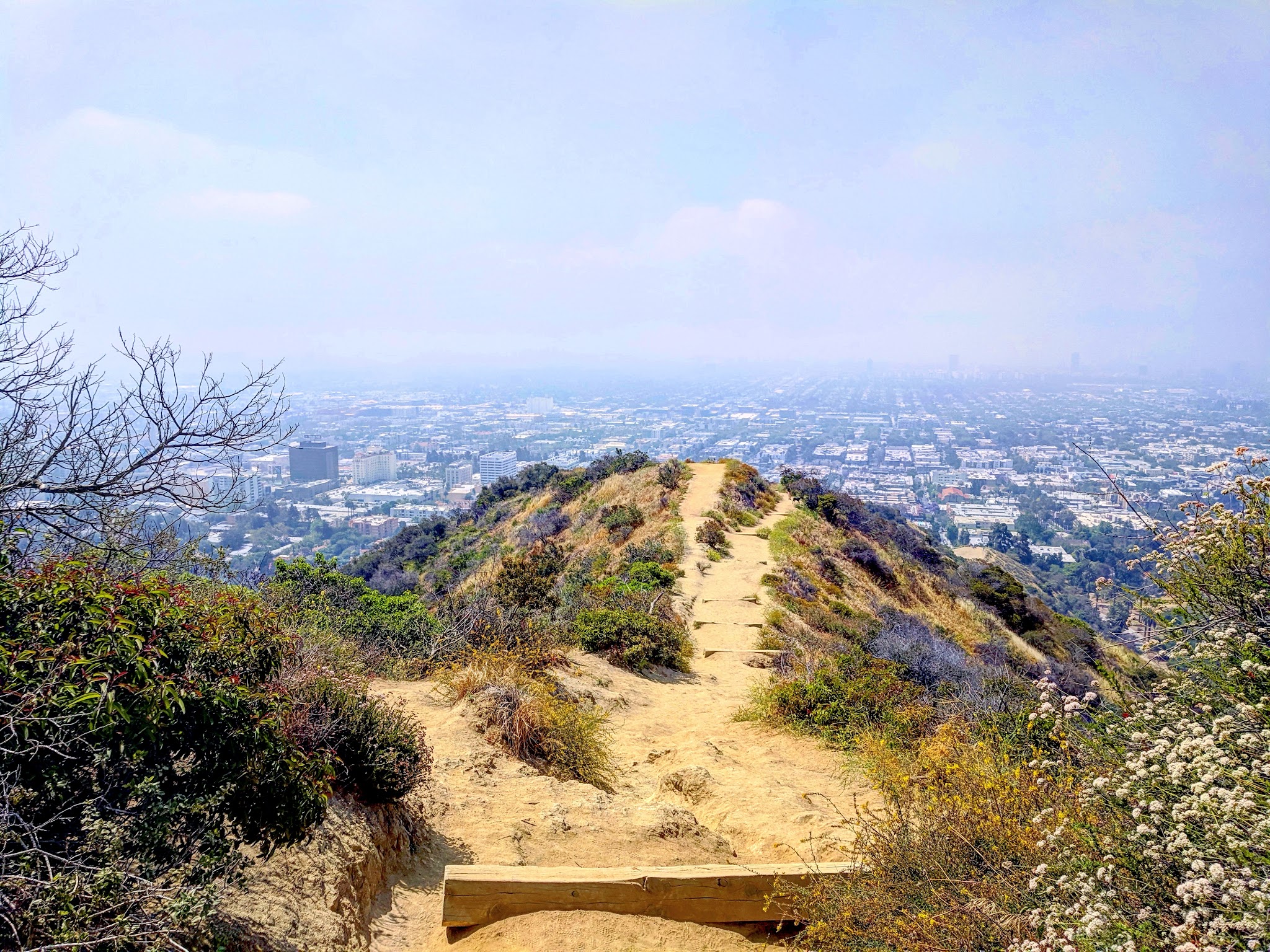Runyon Canyon Park - Los Angeles, CA
