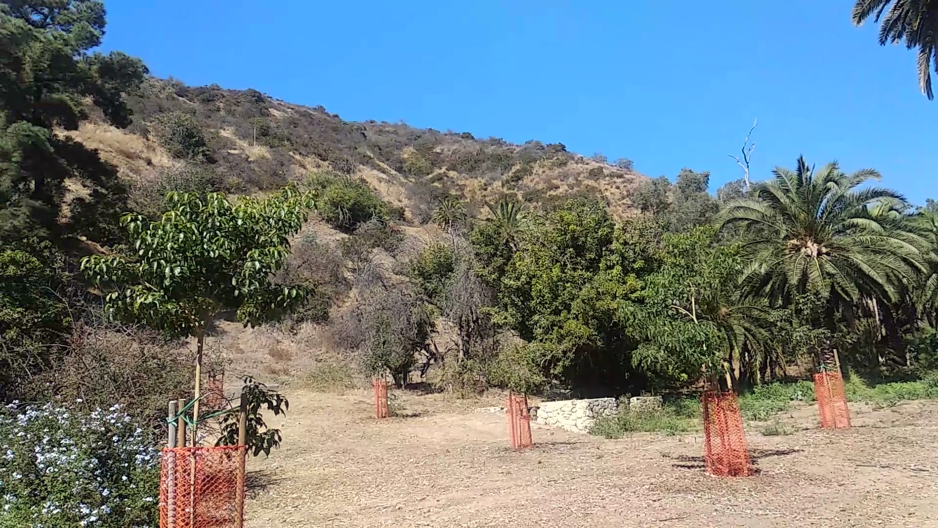 Runyon Canyon Park - Los Angeles, CA