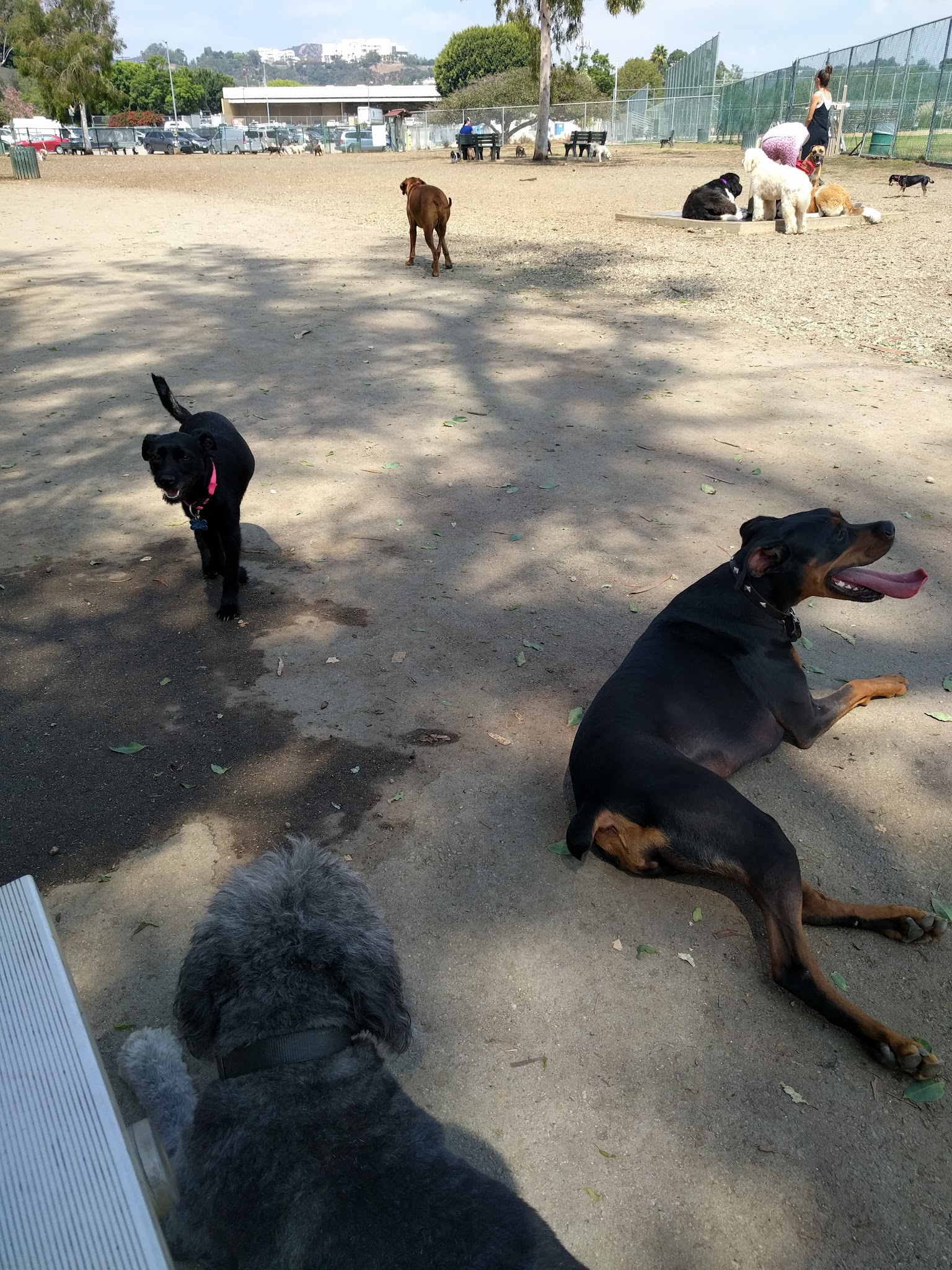 Veterans Barrington Park - Los Angeles, CA