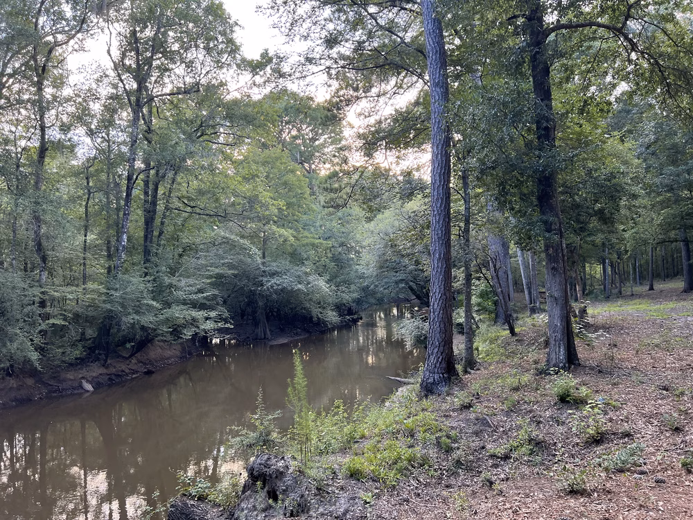 Ogeechee Crossing Park - Louisville, GA