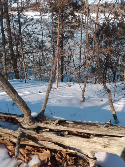 US Campgrounds - Lucas, KY