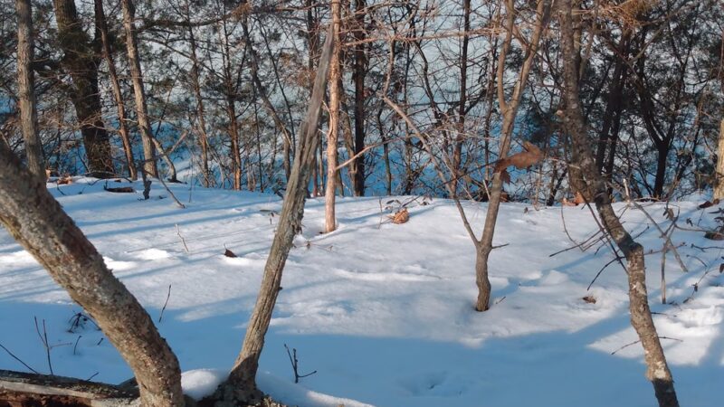 US Campgrounds - Lucas, KY