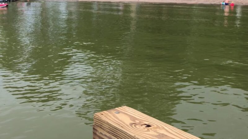 Duck Lake Park - Madison Lake, MN