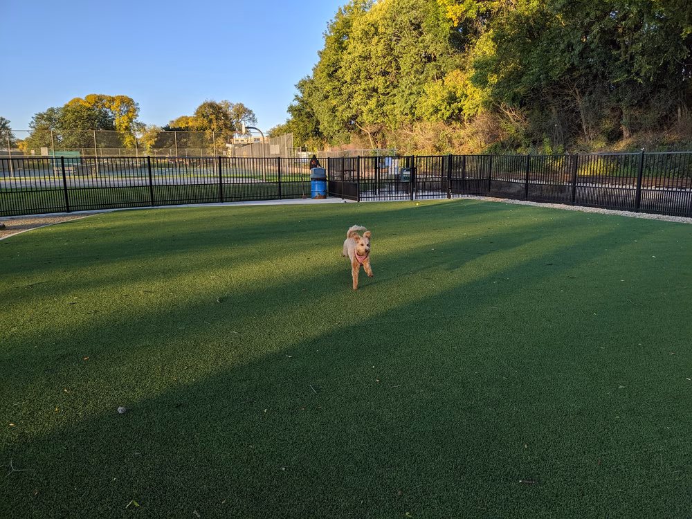 Brittingham Park Dog Park - Madison, WI