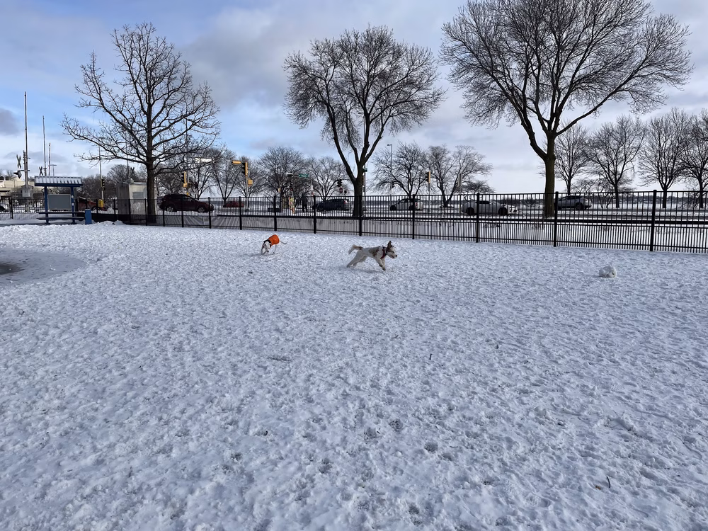 Brittingham Park Dog Park - Madison, WI