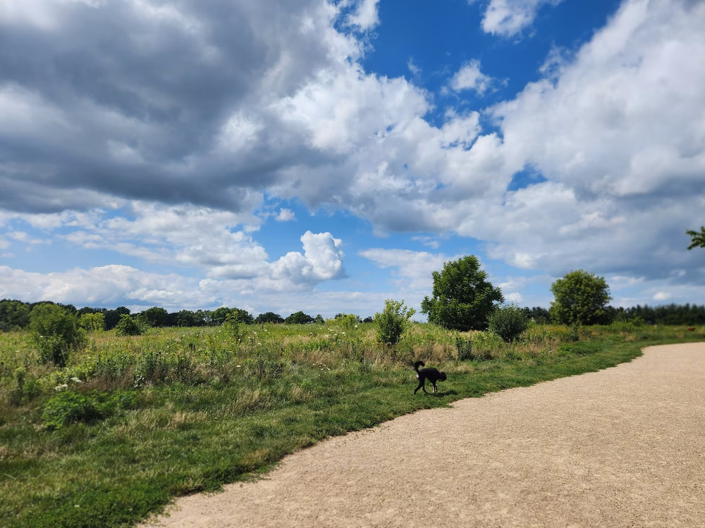 Quann Park - Madison, WI