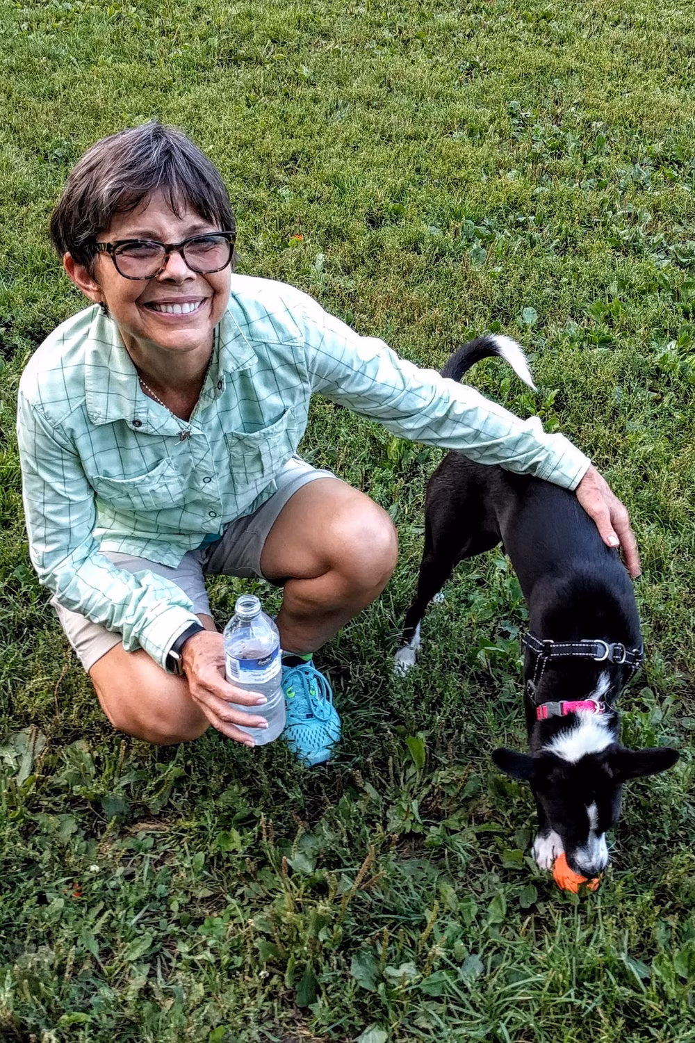 Walnut Grove Park Dog Park - Madison, WI