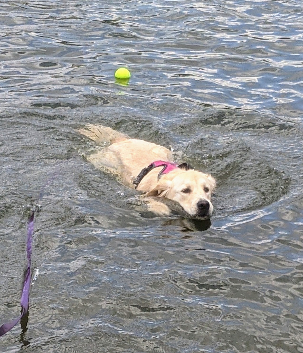 Stockton Beach Park - Manasquan, NJ