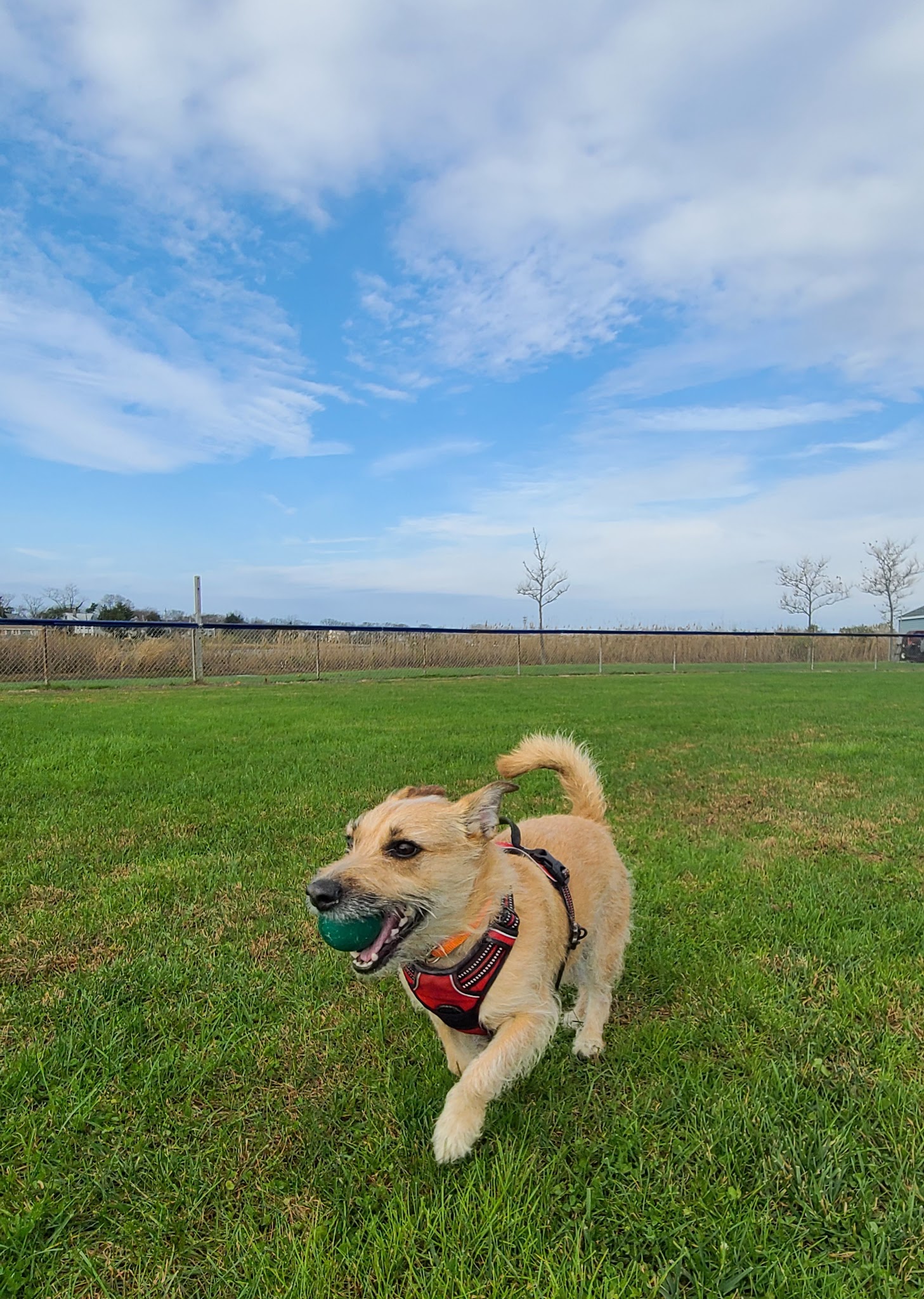 Stockton Beach Park - Manasquan, NJ