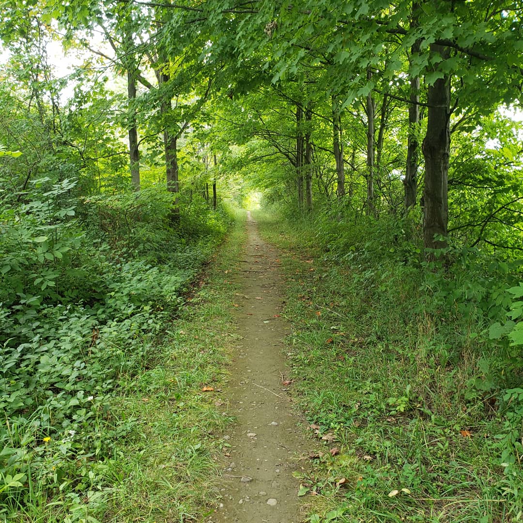 Skaneateles Conservation Area - Marcellus, NY