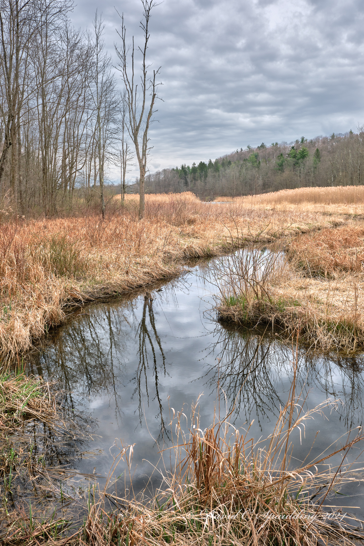 Skaneateles Conservation Area - Marcellus, NY