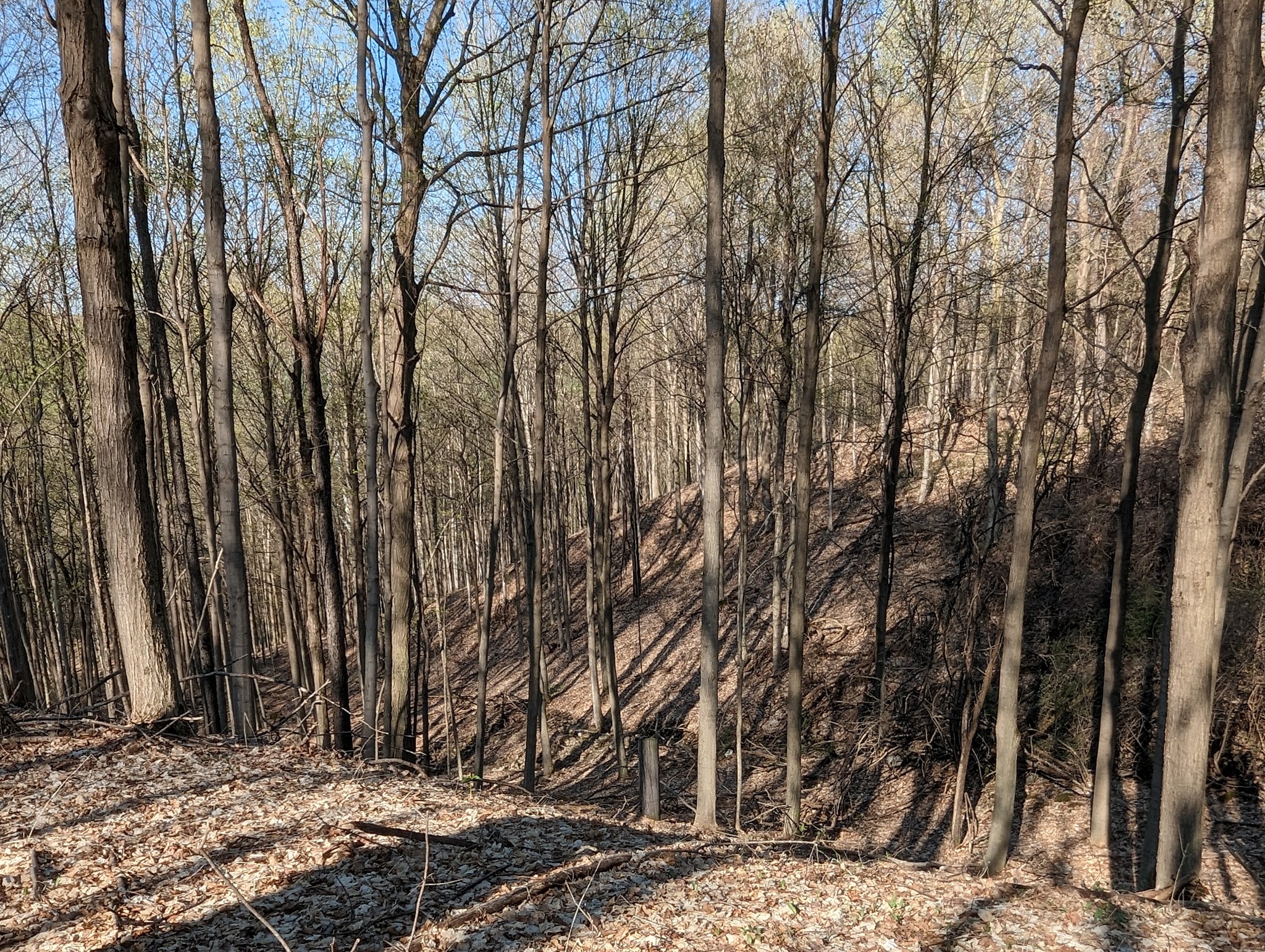 Skaneateles Conservation Area - Marcellus, NY