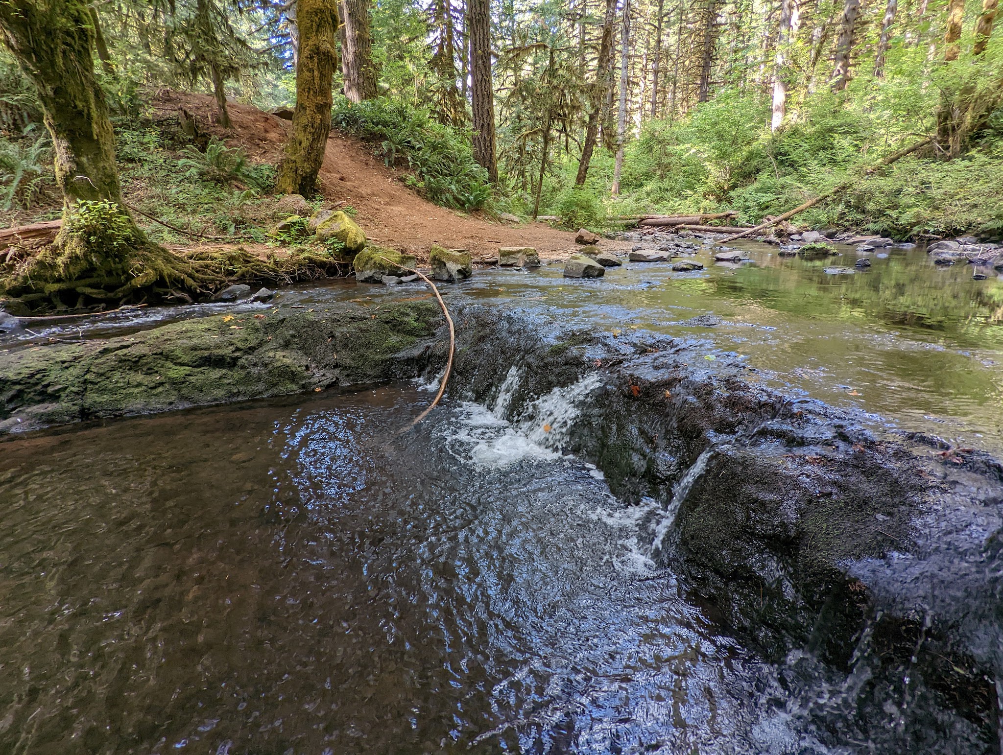 Shotgun Creek Trailhead - Marcola, OR