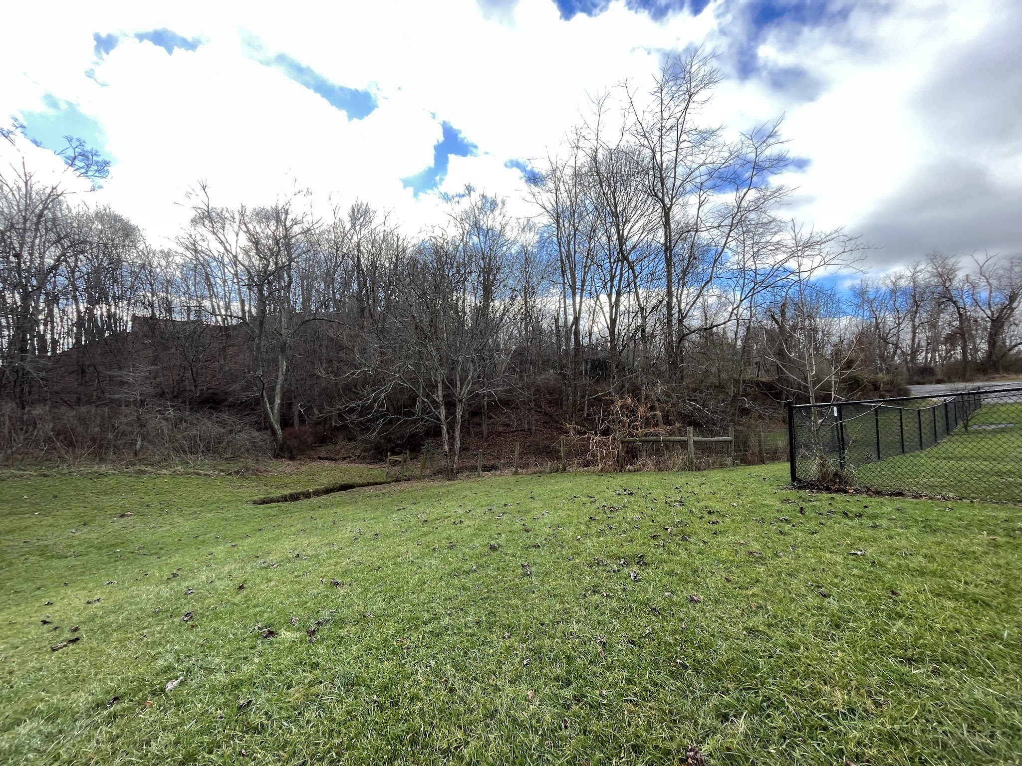 Marion Dog Park - Marion, VA