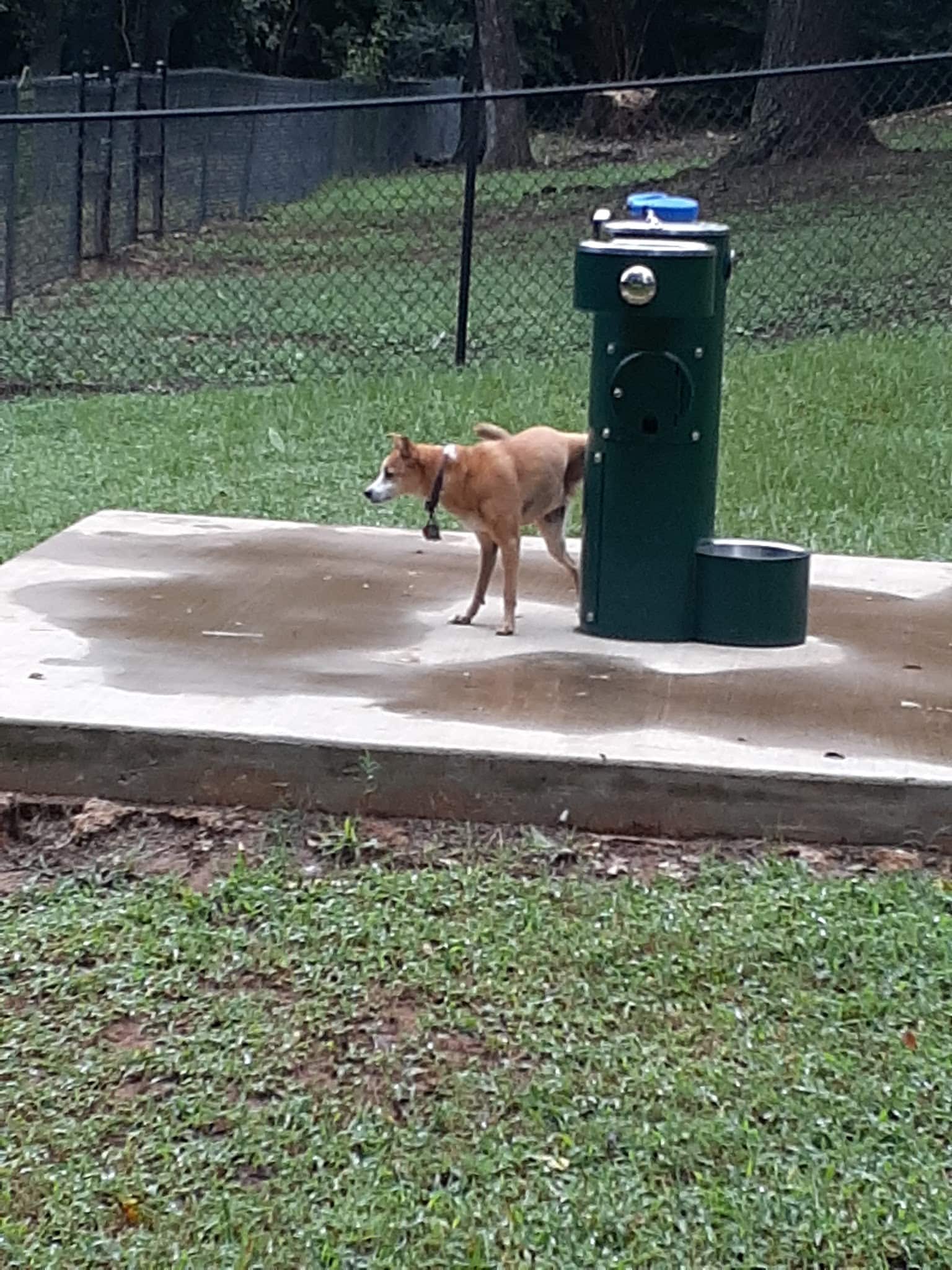 Bath-Miller Park - Marshall, TX