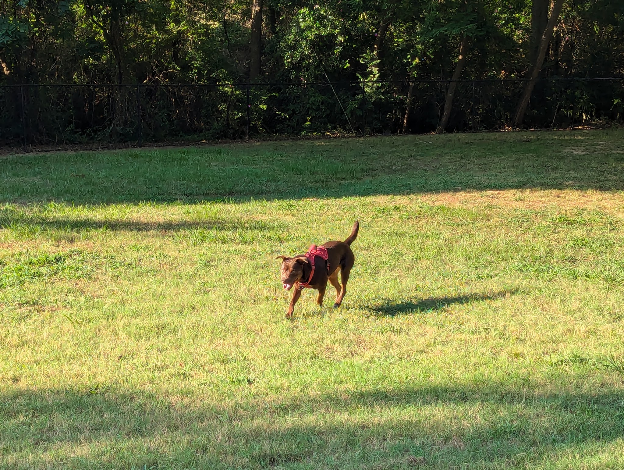 Bath-Miller Park - Marshall, TX