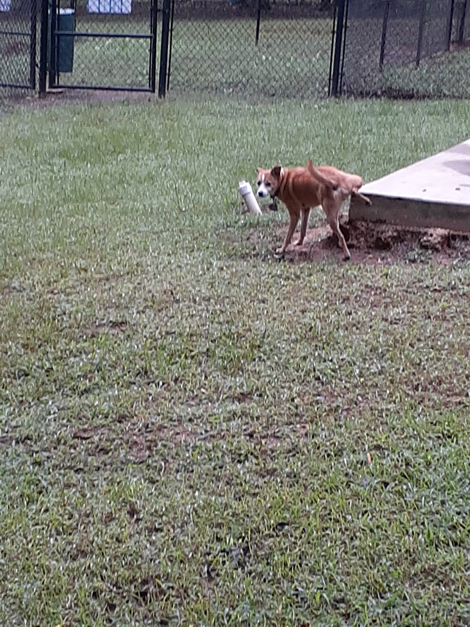 Bath-Miller Park - Marshall, TX