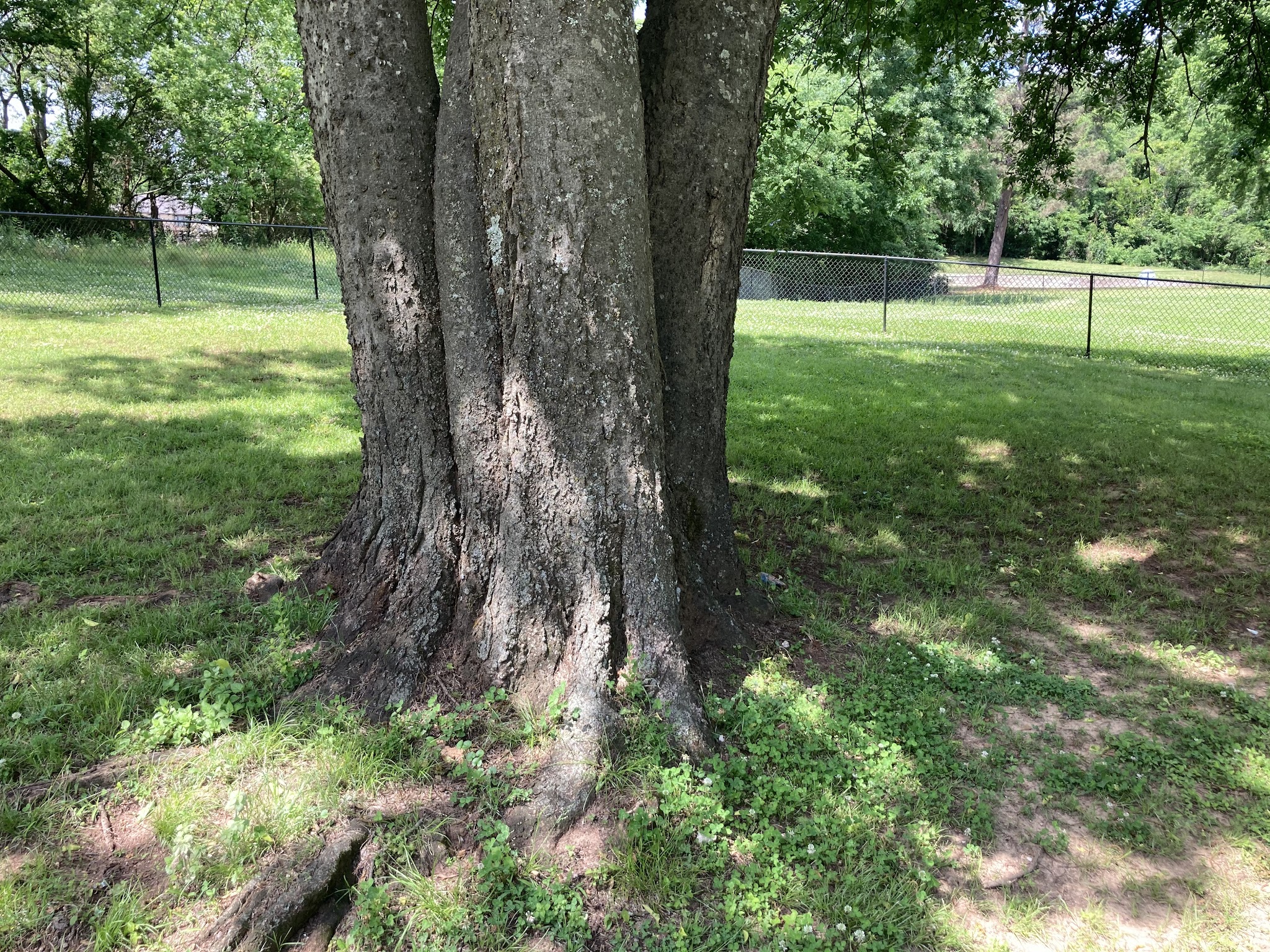 Bath-Miller Park - Marshall, TX