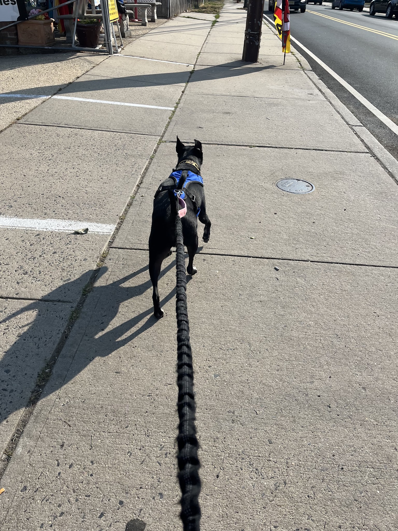 Kate's Canine Care - Matawan, NJ