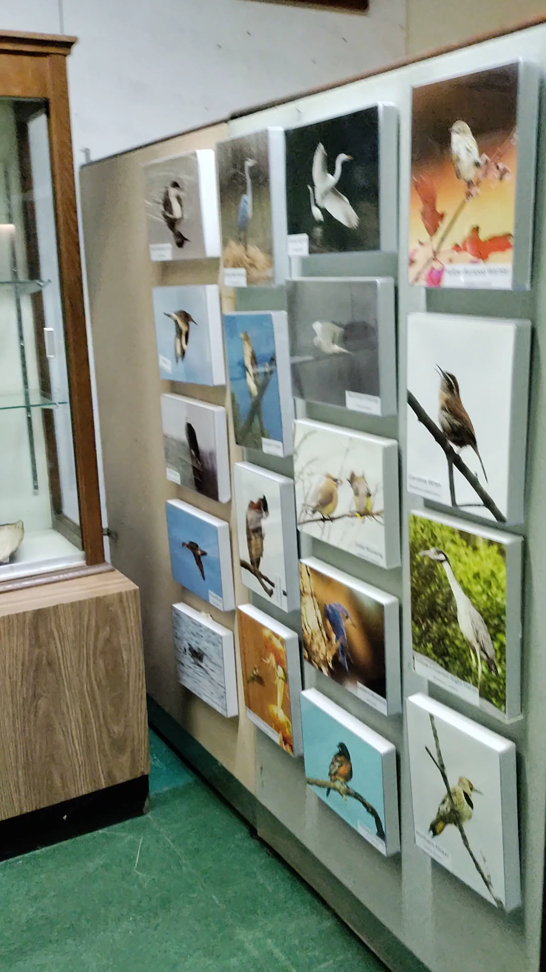 Nature Center at Cheesequake State Park - Matawan, NJ