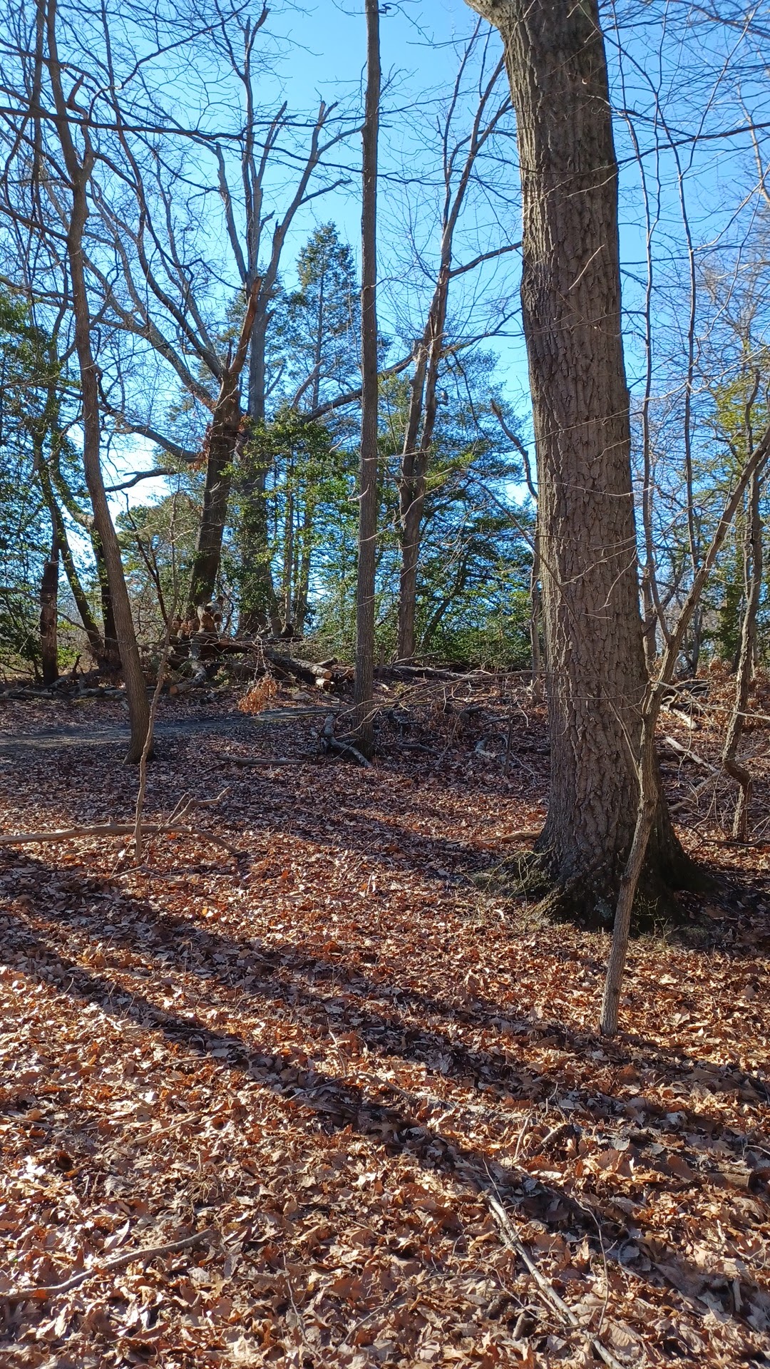 Nature Center at Cheesequake State Park - Matawan, NJ