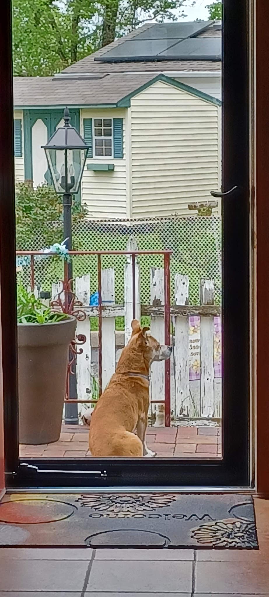 Parkwood Kennels - Matawan, NJ