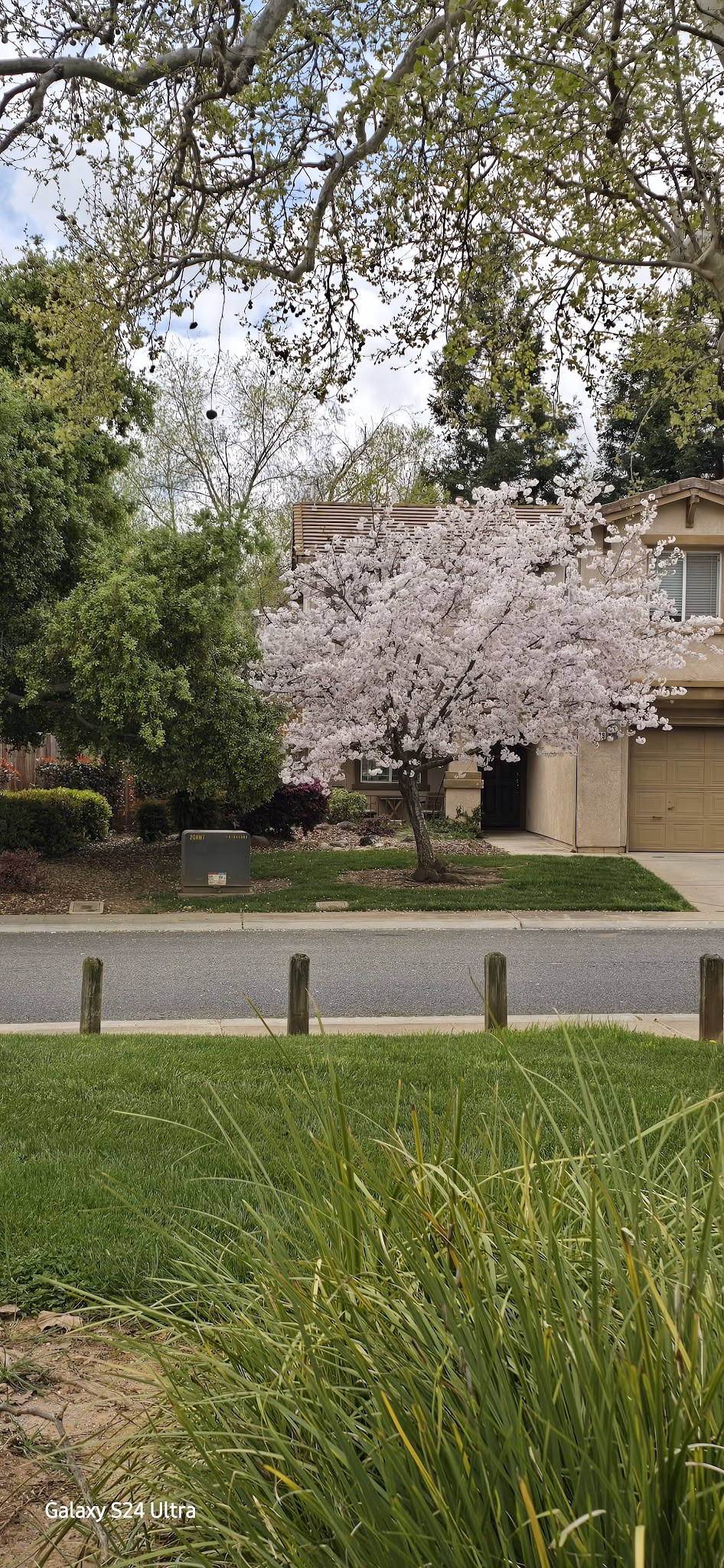 Veterans Park - Mather, CA