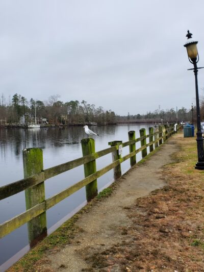 Mays Landing Marina - Mays Landing, NJ