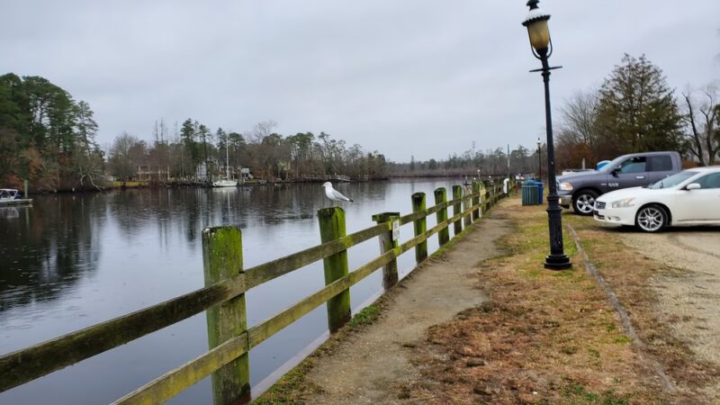 Mays Landing Marina - Mays Landing, NJ