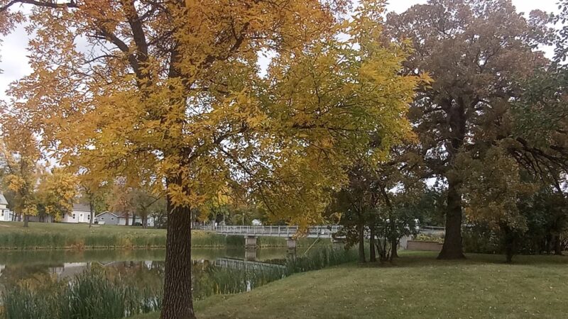 Mayville Disc Golf - Mayville, ND