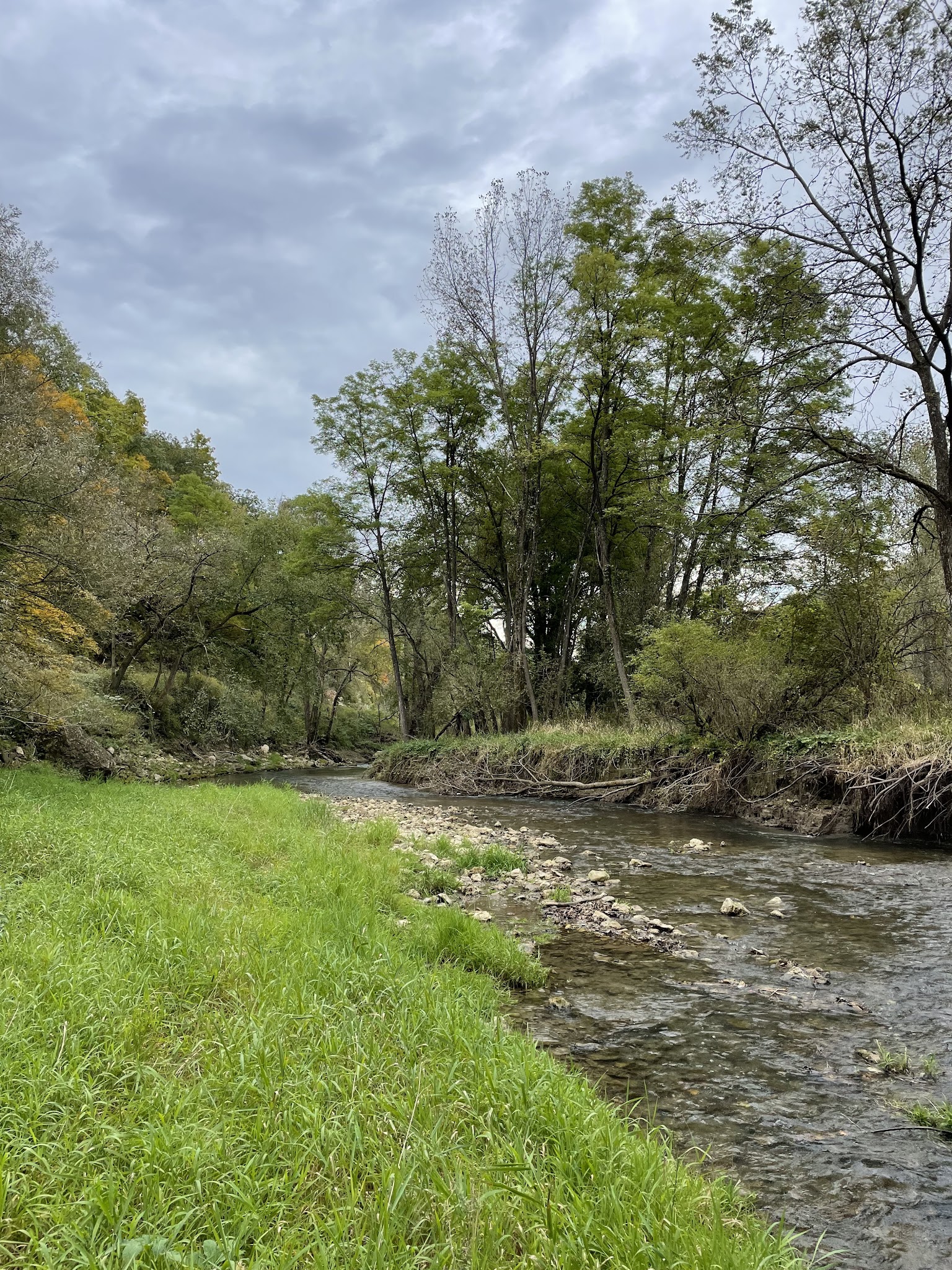 Bloody Run County Park - McGregor, IA