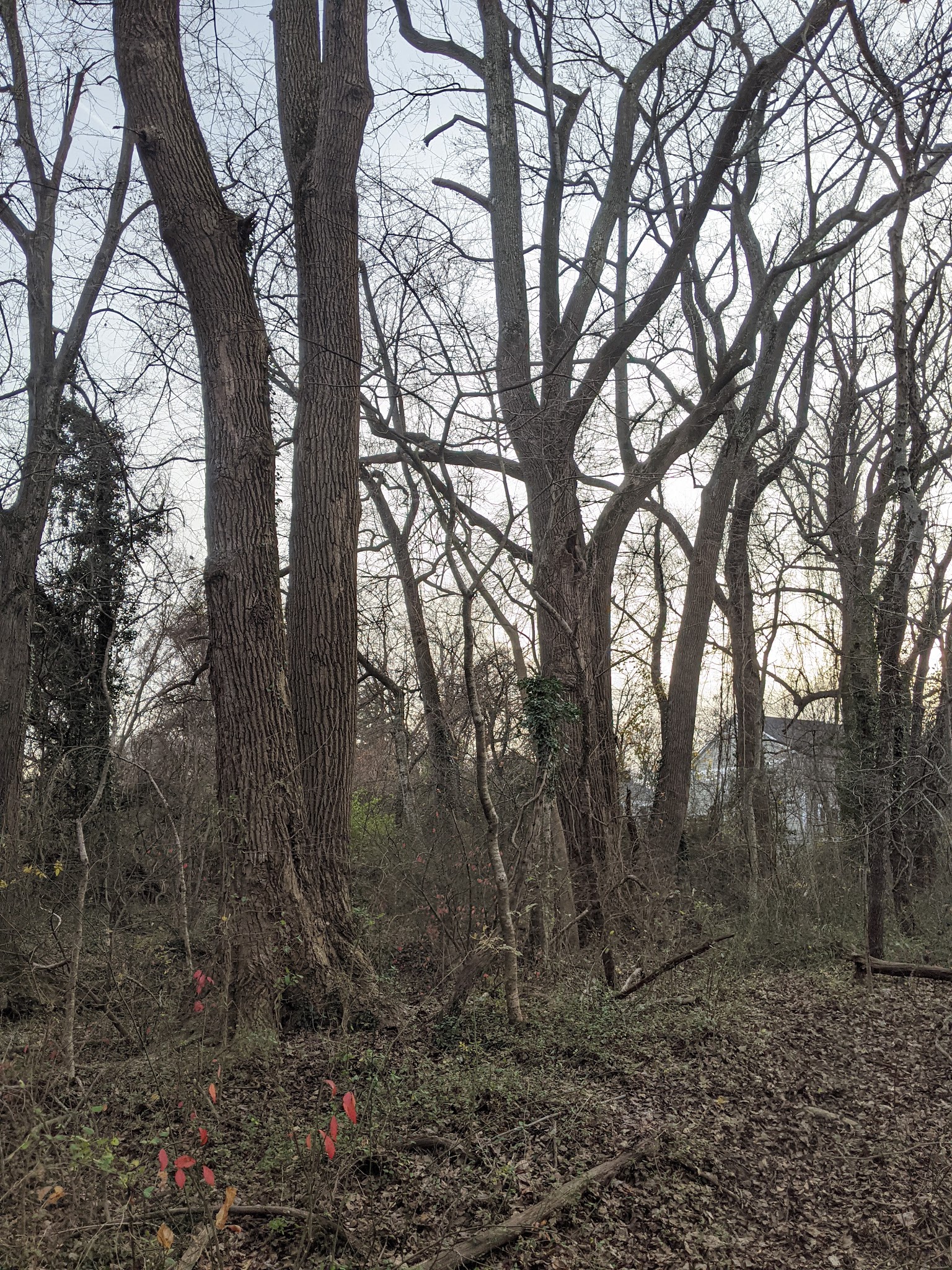 Churchill Road Park - McLean, VA