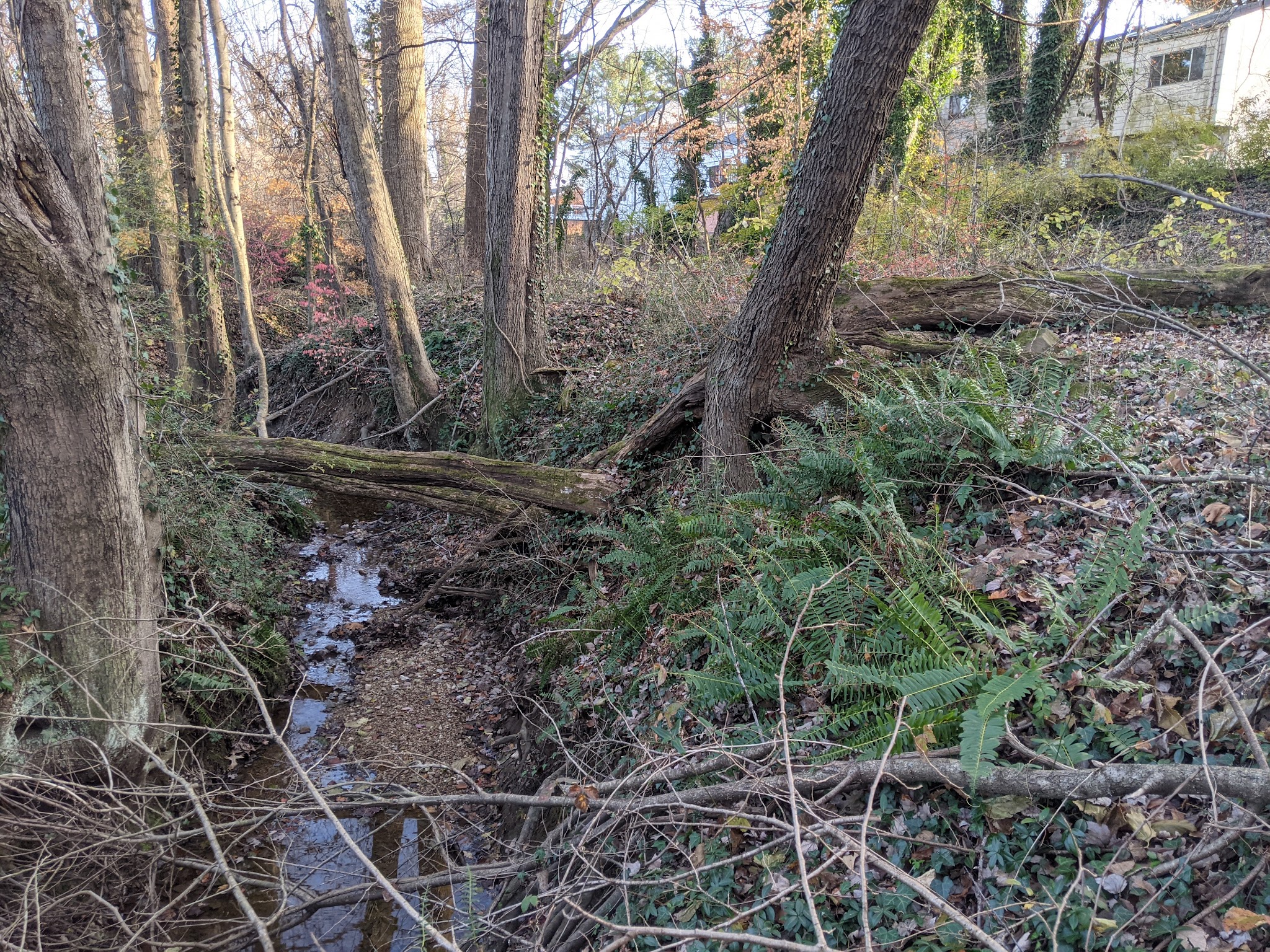 Churchill Road Park - McLean, VA
