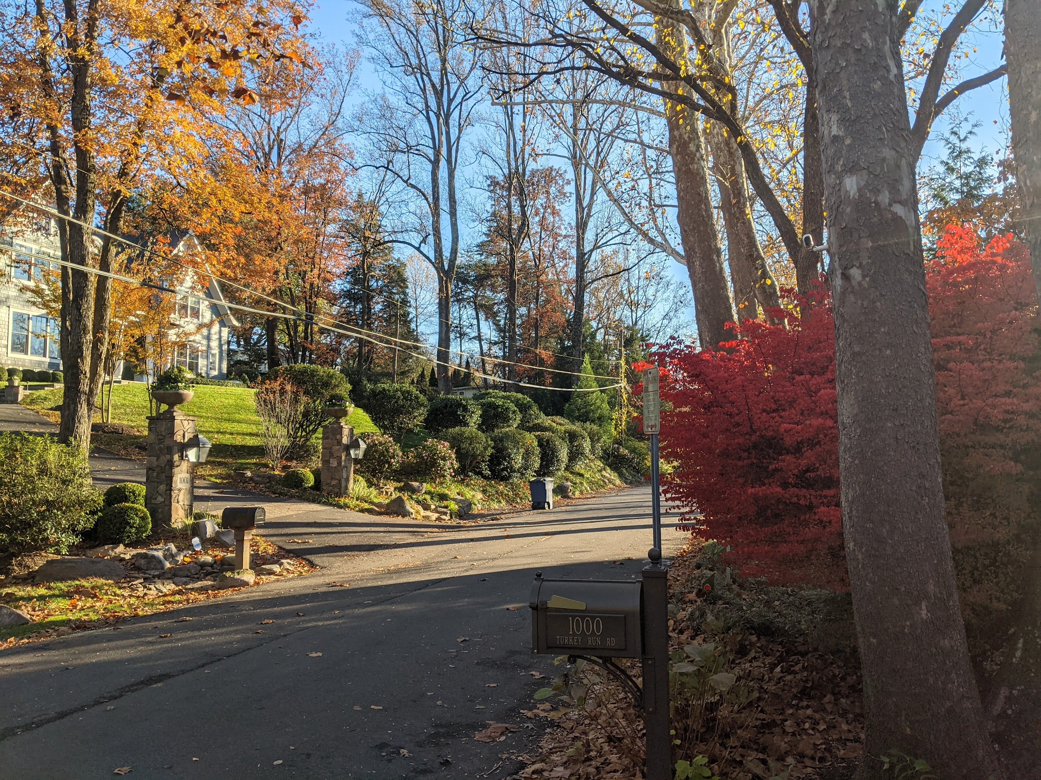 Langley Fork Park - McLean, VA