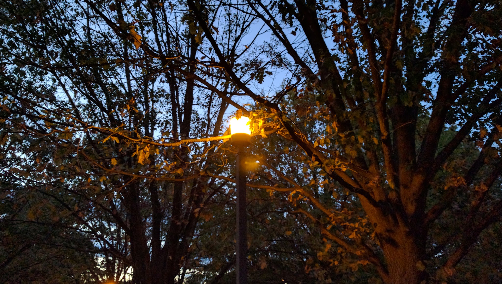 Linway Terrace Park - McLean, VA