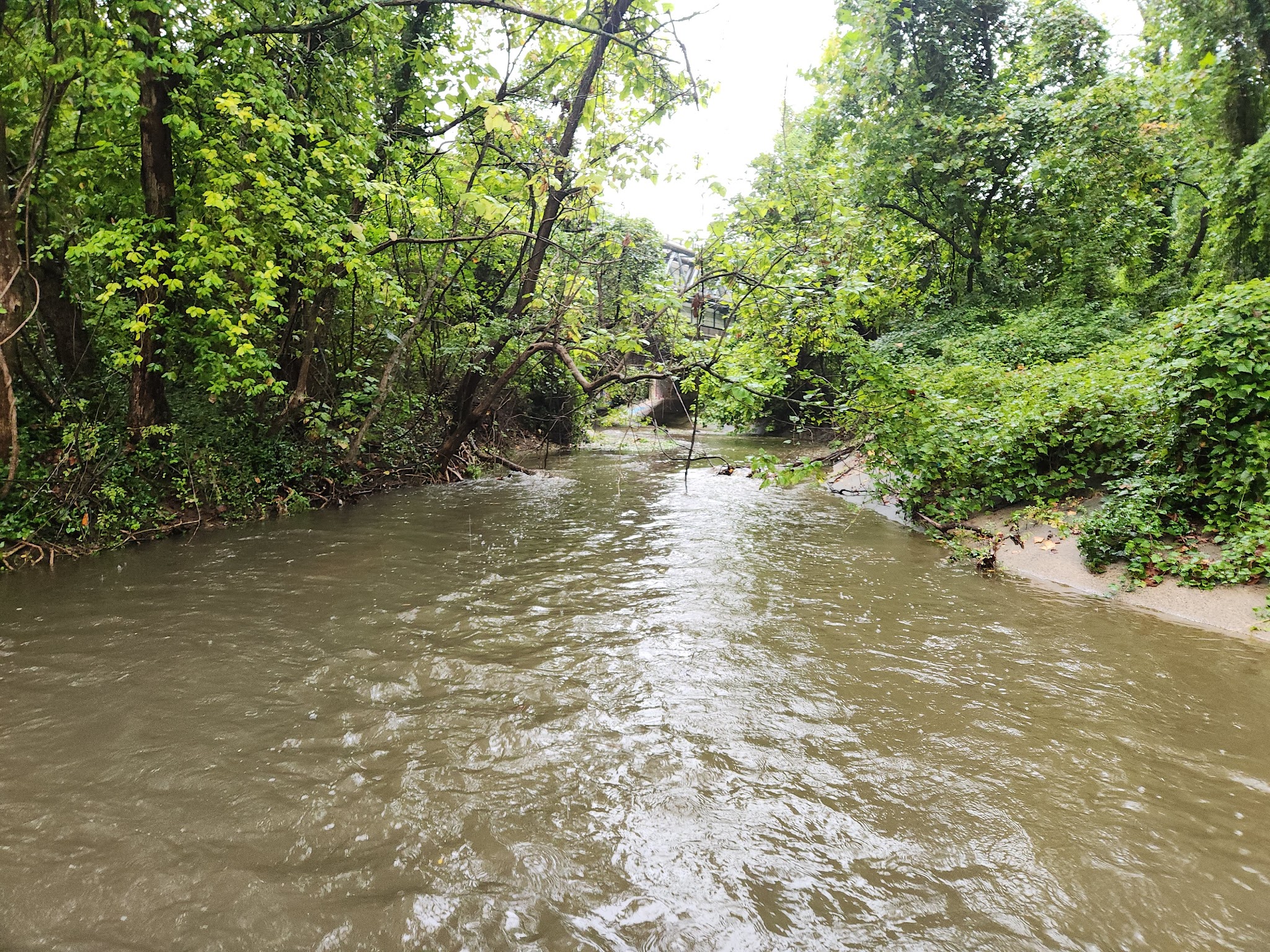 Pimmit Run Stream Valley Park - McLean, VA
