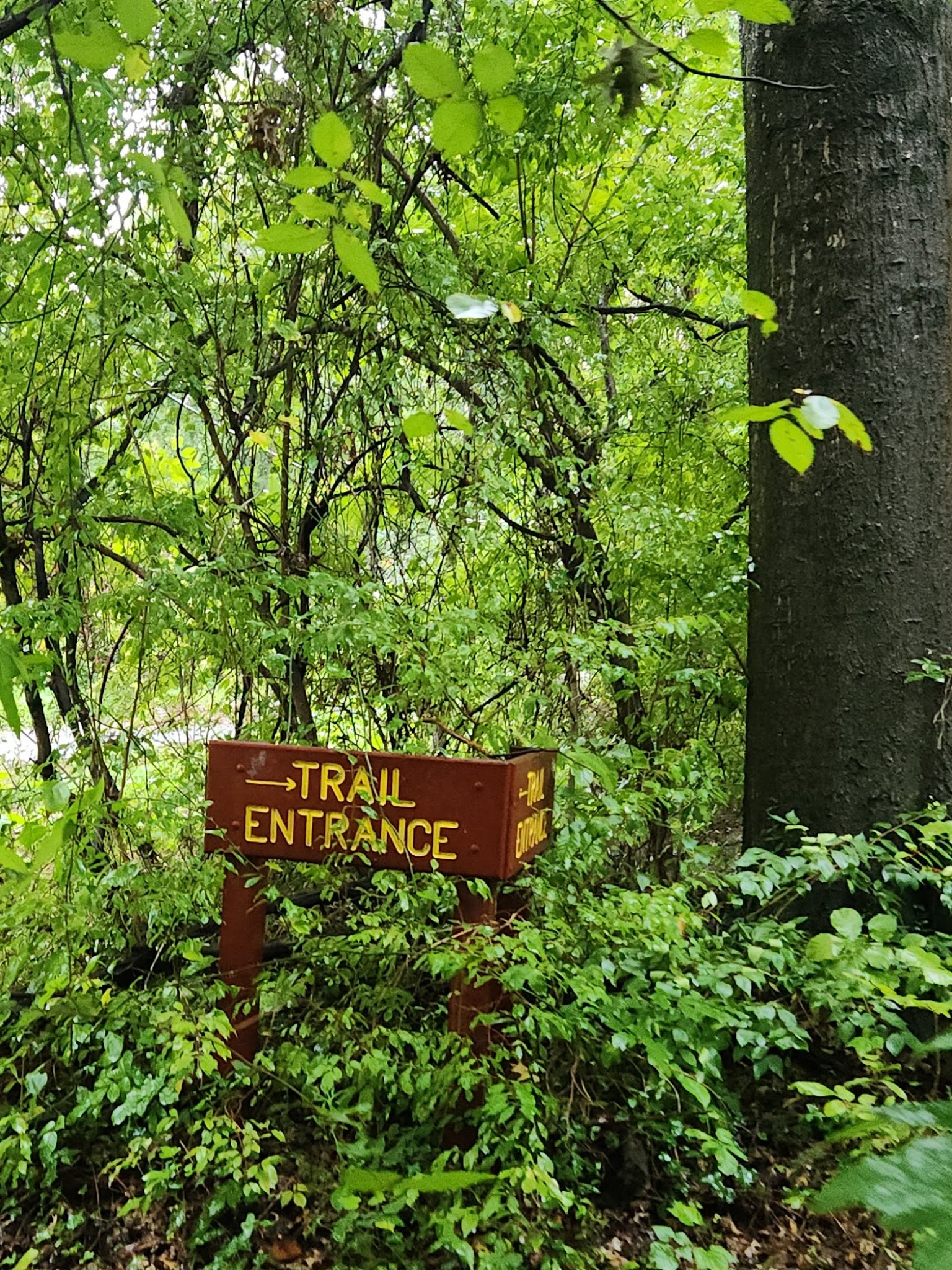 Pimmit Run Stream Valley Park - McLean, VA