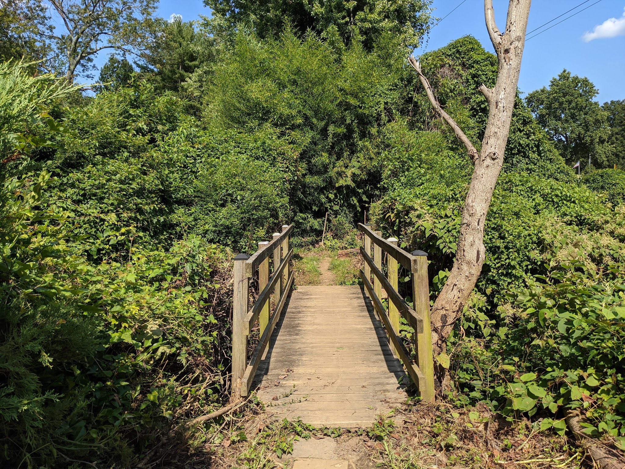 Pimmit Run Stream Valley Park - McLean, VA