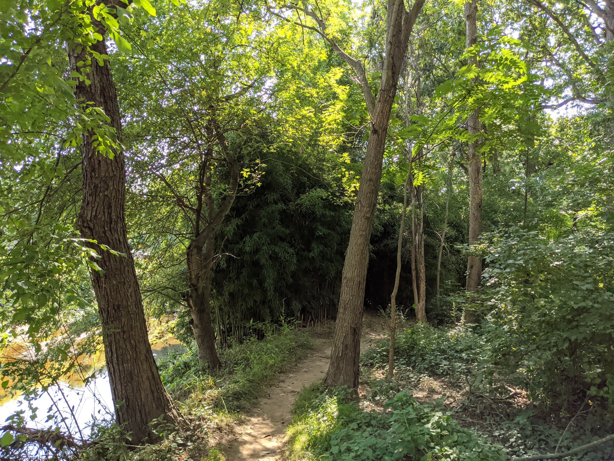 Pimmit Run Stream Valley Park - McLean, VA